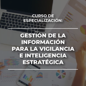 Curso de Especialización: Gestión de la Información para la Vigilancia e Inteligencia Estratégica