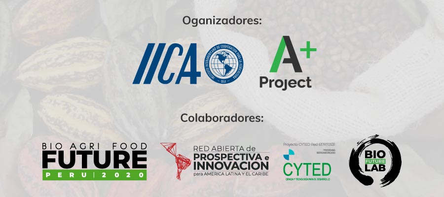 orgs-cacao-iica